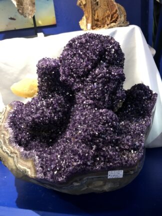 70-pound Uruguay Amethyst Stalactite with Large Golden Calcites